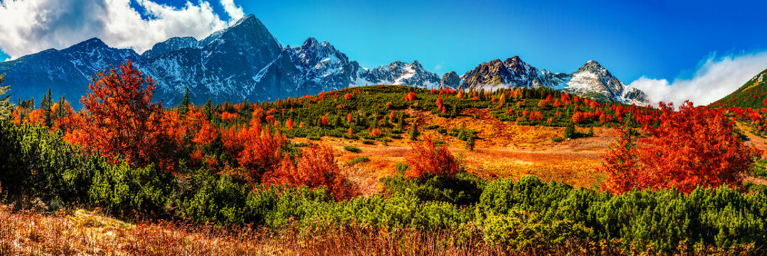 Fototapeta Snowy High Tatras with colorful autumn trees. Hiking from zelene lake to cottage plesnivec near Belianske Tatry mountain  Slovakia.