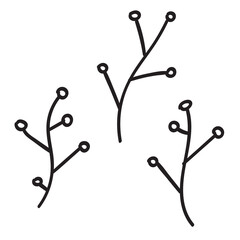 Hand drawn doodle botanical elements three branches.