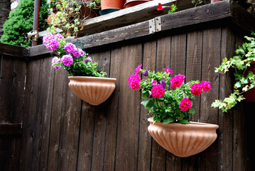 flowers in a pot hinging on a wall