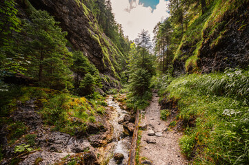 Mountain landscape in mountains, Juranova dolina - valley in The Western Tatras national park. Slovakia, oravice, Orava region. © Zedspider