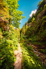 Mountain landscape in mountains, Juranova dolina - valley in The Western Tatras national park. Slovakia, oravice, Orava region. © Zedspider