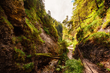 Mountain landscape in mountains, Juranova dolina - valley in The Western Tatras national park. Slovakia, oravice, Orava region. © Zedspider
