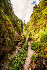 Mountain landscape in mountains, Juranova dolina - valley in The Western Tatras national park. Slovakia, oravice, Orava region. © Zedspider