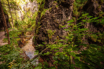 Mountain landscape in mountains, Juranova dolina - valley in The Western Tatras national park. Slovakia, oravice, Orava region. © Zedspider