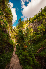 Mountain landscape in mountains, Juranova dolina - valley in The Western Tatras national park. Slovakia, oravice, Orava region. © Zedspider