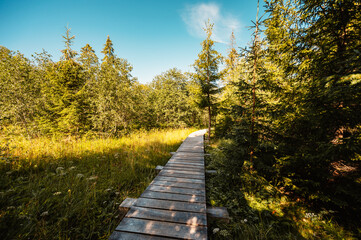 Mountain landscape in Slovakia mountains, Juranova dolina - valley in The Western Tatras national park, oravice, Orava region. Educational trail through the bog © Zedspider
