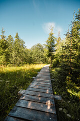 Mountain landscape in Slovakia mountains, Juranova dolina - valley in The Western Tatras national park, oravice, Orava region. Educational trail through the bog © Zedspider