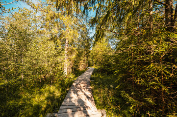 Mountain landscape in Slovakia mountains, Juranova dolina - valley in The Western Tatras national park, oravice, Orava region. Educational trail through the bog © Zedspider
