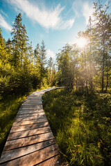 Mountain landscape in Slovakia mountains, Juranova dolina - valley in The Western Tatras national park, oravice, Orava region. Educational trail through the bog © Zedspider