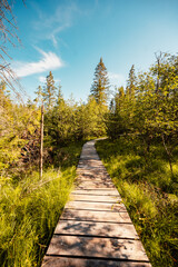 Mountain landscape in Slovakia mountains, Juranova dolina - valley in The Western Tatras national park, oravice, Orava region. Educational trail through the bog © Zedspider
