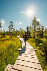Mountain landscape in Slovakia mountains, Juranova dolina - valley in The Western Tatras national park, oravice, Orava region. Educational trail through the bog © Zedspider