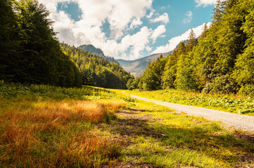 Mountain landscape in mountains, Juranova dolina - valley in The Western Tatras national park. Slovakia, oravice, Orava region. © Zedspider