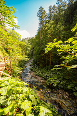 Mountain landscape in mountains, Juranova dolina - valley in The Western Tatras national park. Slovakia, oravice, Orava region. © Zedspider