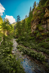 Mountain landscape in mountains, Juranova dolina - valley in The Western Tatras national park. Slovakia, oravice, Orava region. © Zedspider