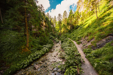 Mountain landscape in mountains, Juranova dolina - valley in The Western Tatras national park. Slovakia, oravice, Orava region. © Zedspider