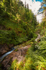 Mountain landscape in mountains, Juranova dolina - valley in The Western Tatras national park. Slovakia, oravice, Orava region. © Zedspider