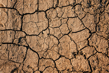 Texture of dried out cracked brown soil from above. Full flat drought background with copy space. Cracks, earth, clay, drought, heat, heat wave