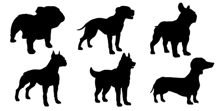 In the animal world. Vector image, dog. Black and white drawing.