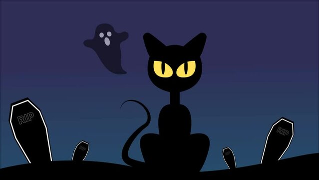 cat and ghost Halloween a Public Holiday in the world scaty background videos