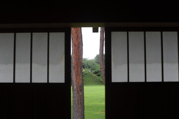 Pine tree seen from interior of Japanese style rom with sliding door and windows with paper walls and wooden frames in Asia