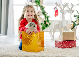 Child with ragdoll cat in Christmas time