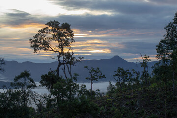 Beautiful nature view. Blurred Sea of fog. 