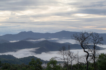 Beautiful nature view. Blurred Sea of fog. 