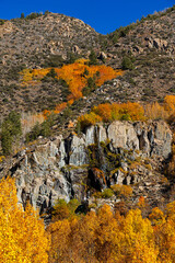 Fall colors at Mist Falls in the Eastern Sierra