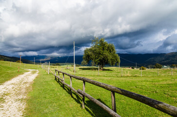 Fototapeta na wymiar Paesaggio tipico dell'altopiano del Cansiglio nella provincia di Belluno in una giornata di sole e nuvole grigie