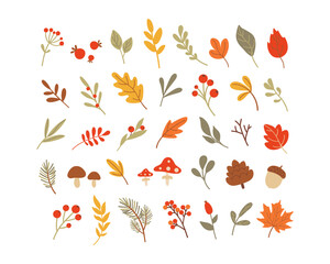 Set of autumn leaves, branches, and berries. Vector illustration isolated on a white background. Cartoon elements. 