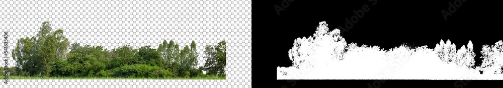 Poster green trees on transparent background. are forest and foliage in summer for both printing and web pa
