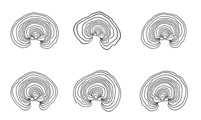 A set of contour drawings Lacquered Tinder mushroom, or lacquered Ganoderma (also possible names Lingzhi or Reishi (Ganoderma lucidum)
