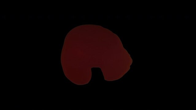 Blood Pool Images – Browse 9,104 Stock Photos, Vectors, and Video ...