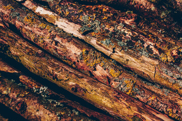 Bois, branches, rondins, planches; forêt, chauffage, coupe, nature, 