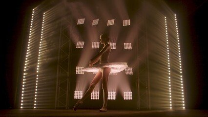 Silhouette of ballerina in form of white swan dancing ballet elements against background of smoke and spotlights with soft white light. Woman in tutu and pointe dances gracefully in the dark. © kinomaster