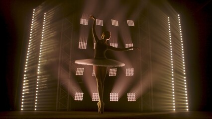 Young ballerina in white tutu dancing in pointe shoes on tiptoes against backdrop of smoke and spotlights with soft white light. Silhouette of flexible woman ballet dancer performing dance pas in dark © kinomaster