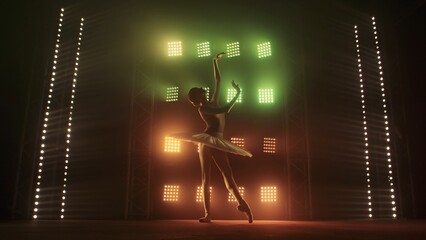 Silhouette of ballerina in form of white swan dancing ballet elements against background of smoke and spotlights with soft red green light. Woman in tutu and pointe dances gracefully in the dark. © kinomaster