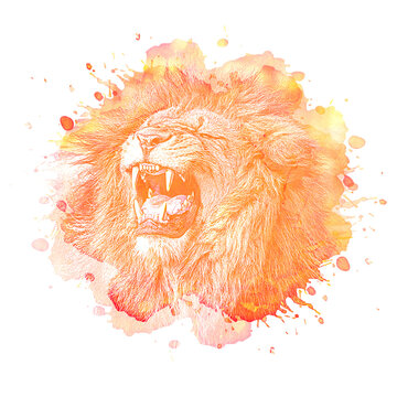 lion, watercolor, abstract, watercolour, paint, logo, strength, art, head, artistic, animal, colorful, cat, africa, face, big, power, canvas, picture, background, nature, hair, color, portrait, leader