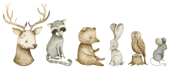 Watercolor set with woodland animals. Vintage deer, raccoon, bear,  rabbit, owl, mouse for creative design © Liubov