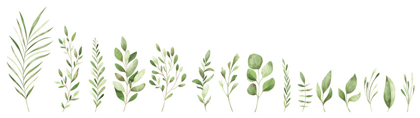 Watercolor set with woodland greenery. Delicate forest herbs for creative design