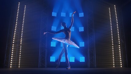 Flexible young ballerina is rehearsing part of the white swan. Woman performs classical ballet pas. Smooth hand movements. Silhouette on smoky background in dark studio in center of blue spotlight. © kinomaster