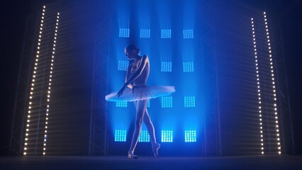 Elements of classical ballet choreography on the background of smoke and spotlights with soft blue light. Silhouette of a young woman ballerina dancing on a theater stage in a tutu and pointe shoes. © kinomaster