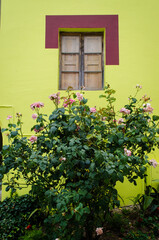 Una finestra di una casa colorata del borgo di Ghizzano in provincia di Pisa, in Toscana con davanti un vaso di fiori