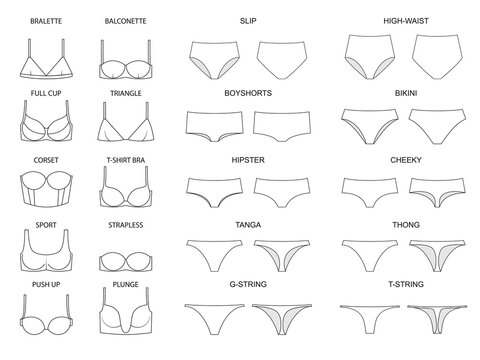 Types of women's panties  and bras. Set of underwear. Illustration on a transparent background