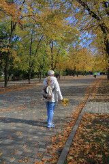 Obraz premium Walking through the public autumn park with bunches of yellow leaves in hand.