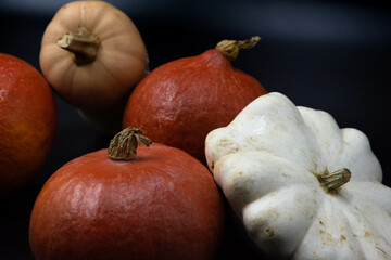Various squashes, butternut, pumpkins, patty pan squash, studio shot, black background