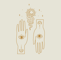 Fortune snake hand line art illustration