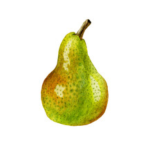 Collection of hand drawn watercolor yellow pears isolated on white background
