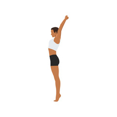 Woman doing Palm Tree Pose on Tiptoes. Practice Urdhva Hastasana on Tiptoes. Flat vector illustration isolated on white background