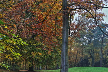 Autumn